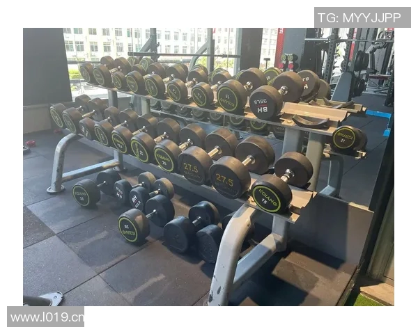 生产健身器材的厂家推荐:国内外知名品牌及其产品特点 生产健身器材的厂家推荐:国内外知名品牌及其产品特点